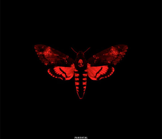 Album Review: Lil Wayne – I Am Not A Human Being II